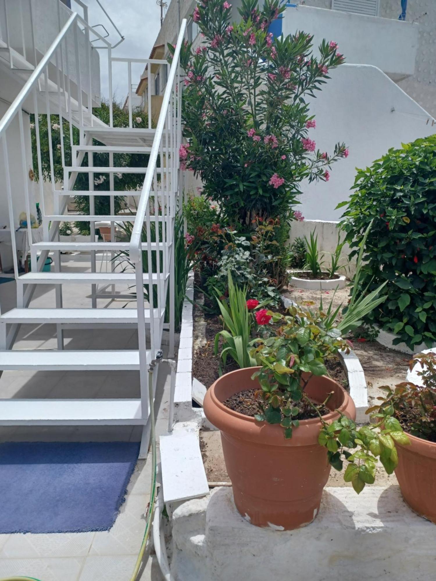 Apartament Mastichari Nektaria Studio Zewnętrze zdjęcie