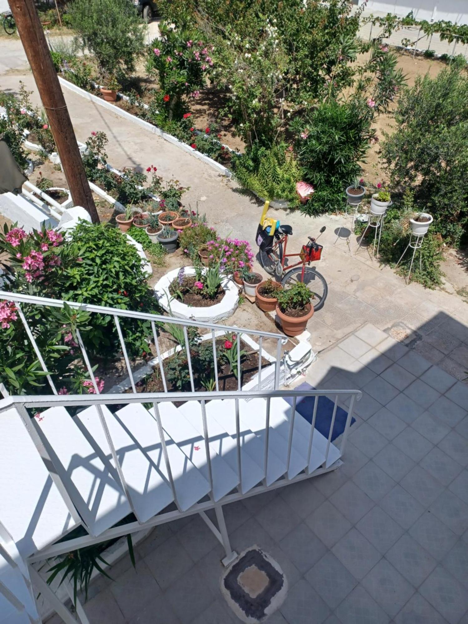Apartament Mastichari Nektaria Studio Zewnętrze zdjęcie